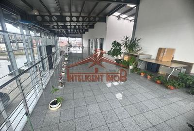 Nou pe piata! Spatiu comercial/Show Room in Deva pe DN7 - 6