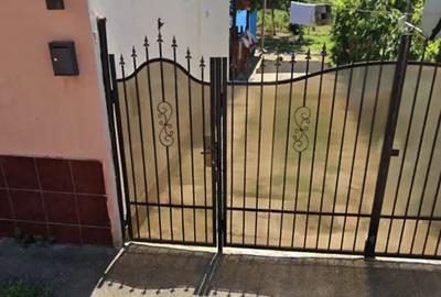 Vand casa cu gradina - 2