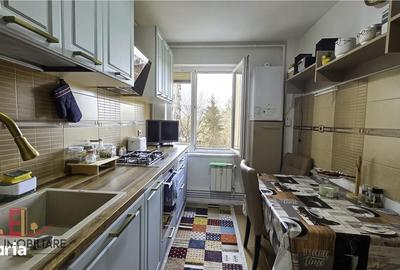 Apartament cu 2 camere în 1 Decembrie 1918 - 4
