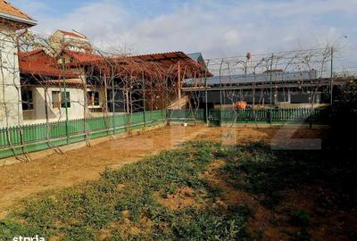 Casă cu 3 camere cu Teren 771 Mp în Micro 11 - 7