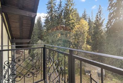 Proprietate cu potențial uriaș – Timișul de Sus – Brașov - 47