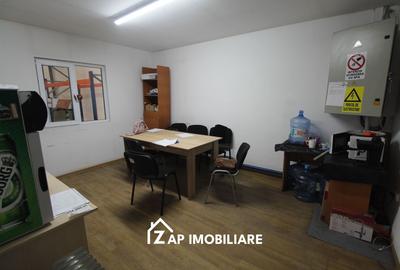 Spațiu industrial, de 250 mp, în Gheorghe Doja - 11