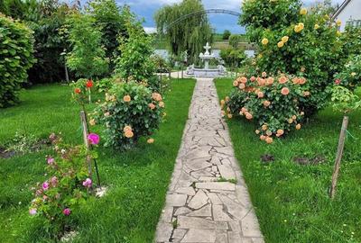 Vanzare vila Lac Snagov /Tancabesti - 8