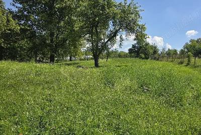 Casă în Urisiu de Sus - 3