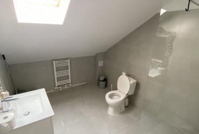 Spatiu comercial tip vila, Serbanesti - 16