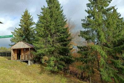 Casă cu 4 camere în Poiana Stampei - 2