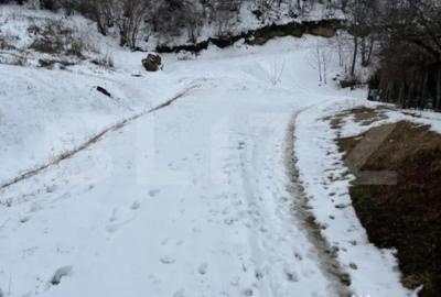 Teren în Vlădiceni - 2