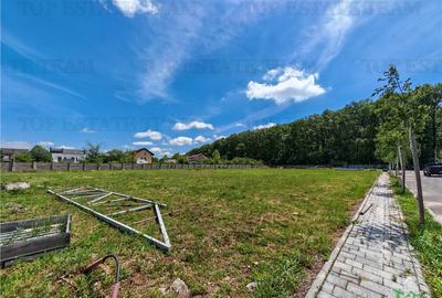 Teren de 4256 mp, în Corbeanca - 3