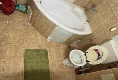 Apartament cu 2 camere semidecomandat în Dosu Bricii - 6