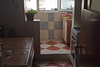 Vanzare apartament 3 camere Nicolae Grigorescu Ilioara - 2