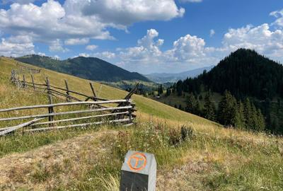 Teren de 169479 mp, în Fundu Moldovei - 1