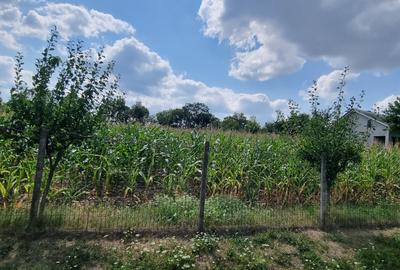 Teren intravilan in Zaicesti zona Conacului cu latura de padure - 3