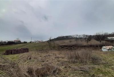 Teren Construcții intravilan de 1750 mp, în Remetea