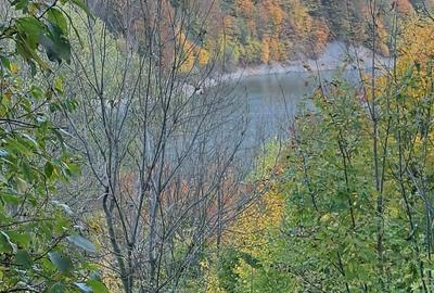 Teren de 2000 mp, în Valea Doftanei - 4