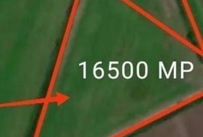 Teren Intravilan 16.500 mp Bod - 2