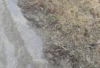 Teren de 3600 mp, în Vorovești - 1