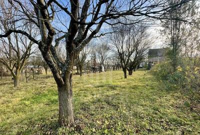 Teren intravilan 1.915 mp + cabana din lemn | Tocile Sadu - 7