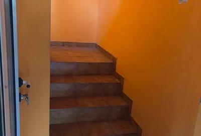 Casa Soseau Chitilei-Modestiei - 7