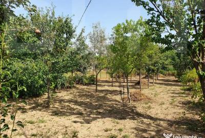 Casă cu 4 camere cu Teren 1200 Mp în Central - 3