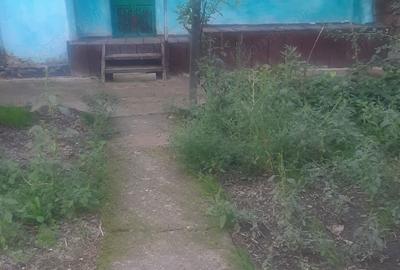 Casă cu 1 camere în Vlădiceni - 10