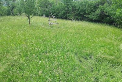 Teren de 1200 mp, în Valea Doftanei - 3