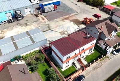 Comision 0 | Petfriendly | Stupini - 11