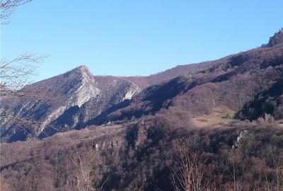 Teren de 30000 mp, în Cornereva - 8