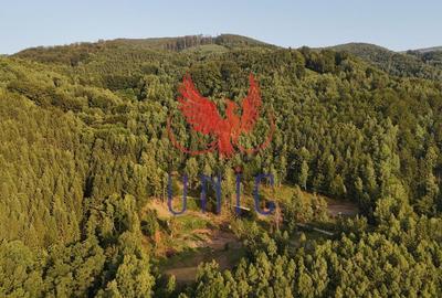 18000 mp de natura pura ,Lupeni, langa Straja - 22