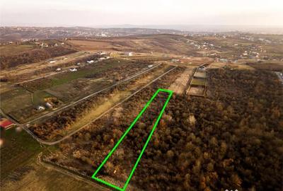 Teren în Săldăbagiu de Munte - 6