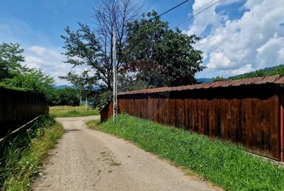 Teren intravilan 1000 mp - Viisoara, utilitati - 2