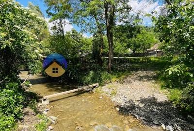 CASA traditionala BICAZU ARDELEAN + teren extravilan 1,6 hectare