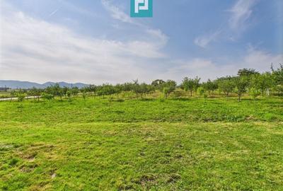 Casă cu teren de 4707 mp în Hălmăgel, județul Arad - 19