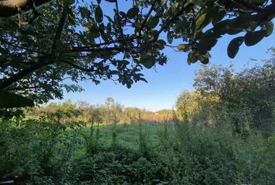 Casa batraneasca - 1