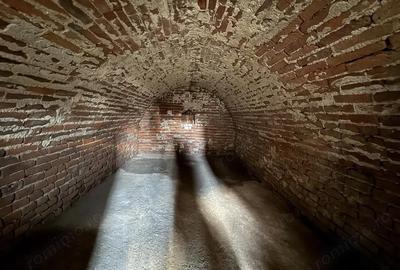 Casă cu 3 camere în Cetariu - 14