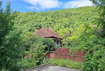 Casă cu 4 camere cu Teren 4 Mp în Stâncești - 2