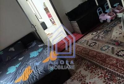 Casa individuala Moara Nica - teren 8 ari - 1