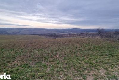 Teren de 2026 mp, în Paleu - 1