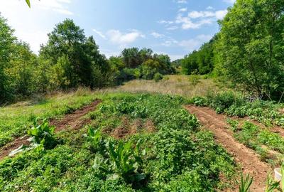 Casă / Vilă cu 3 camere de vânzare - 40