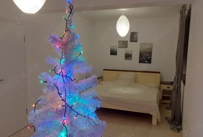 Casă cu 4 camere cu Teren 500 Mp în Bogdăneștilor - 5