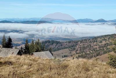 Teren 31,461mp Panaci / Prelungirea Ialovita - 23