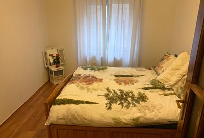 Floreasca, Puccini, apartament 2 camere, mobilat si utilat, imobil reabilitat, - 3