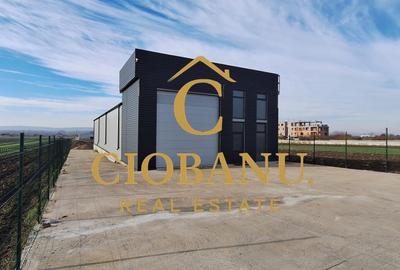 Hala de vanzare in Racari de Jos - 16