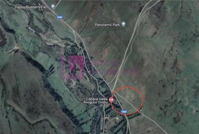 Teren intravilan 5.000 mp | Valea Avrigului | front dublu - 4