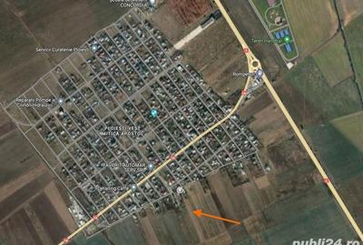 Teren de 5000 mp, în Vest - 2