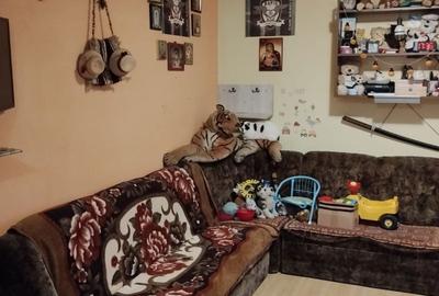 Apartament cu 2 camere decomandat în Baciu - 3