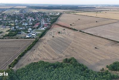 Teren de 40300 mp, în Corbeanca - 3