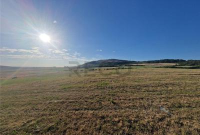 RECO teren extravilan Betfia - 9