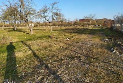 Spațiu comercial, în Voila - 12