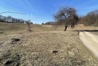 Spațiu comercial, în Tomnatic - 6