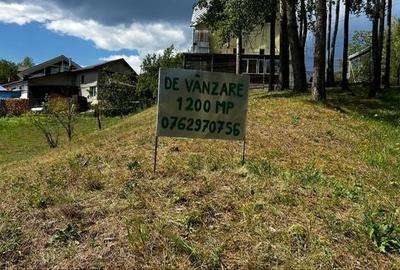 Teren de 1200 mp, în Lac de Verde - 3